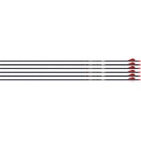 EASTON ARROW 5MM FMJ 300 W/ HO