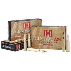 HORNADY CUSTOM LITE 243 WIN