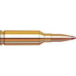 HORNADY V-MATCH 22 ARC