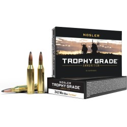 NOSLER TROPHY GRADE 243 WIN