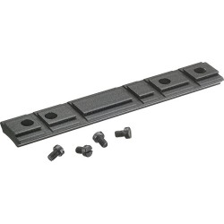 RUGER SCOPE BASE 10/22